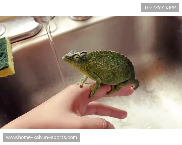 世界游泳挑战赛惊现“水中神兽”，网友看呆